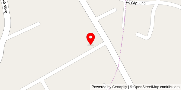 Map location for Phở Việt